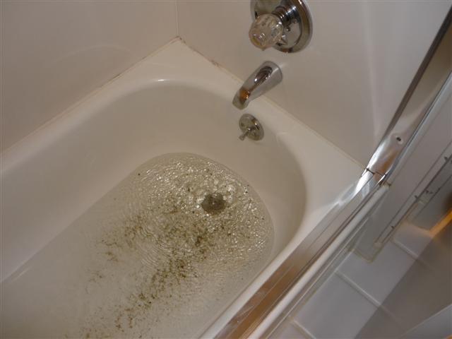 Shower Drain Service Hawaii Plumbing, What To Do When Water Backs Up In Bathtub Drain